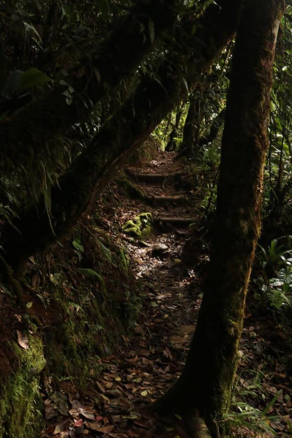 La Casa De Loto Retreat Guatapé エクステリア 写真